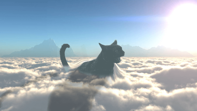 catzilla beau