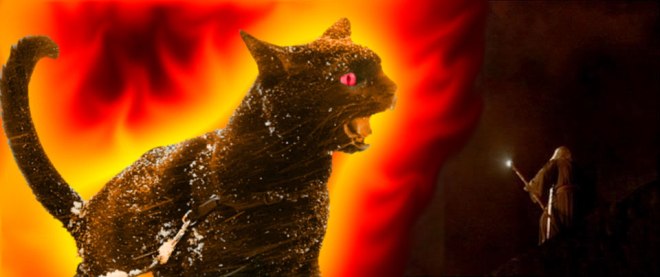 lotr cat